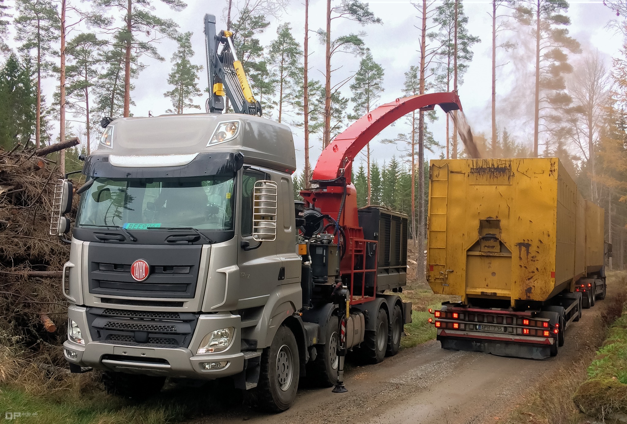 Read more about the article W Szwecji działa unikatowa TATRA PHOENIX 8×8 w wersji do rozdrabniania drewna