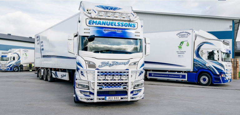 Read more about the article Portfel + środowisko = RME. Przypadek Transport Emanuelsson