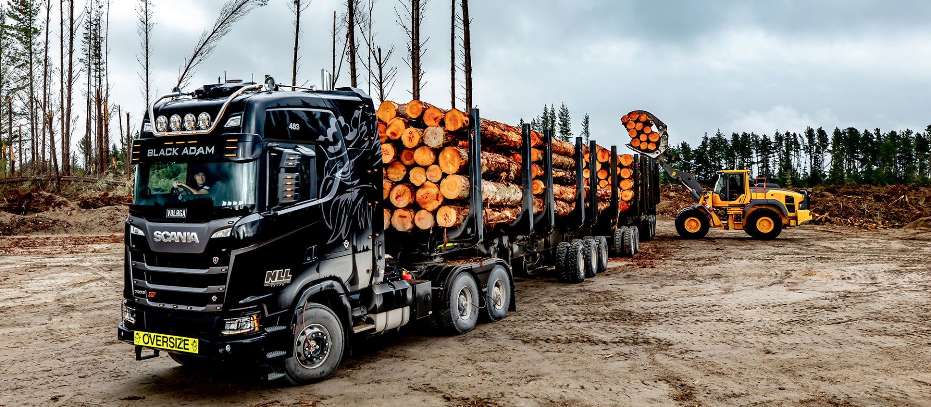 Read more about the article Scania w Nowej Zelandii – 160 ton przez las