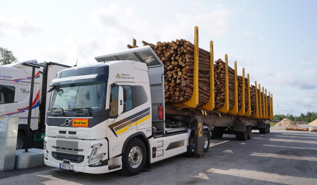 Screenshot 2025-10-27 at 17-32-18 DSC03046.JPG (obraz JPEG 1024×684 pikseli)